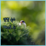 image 4b42feea