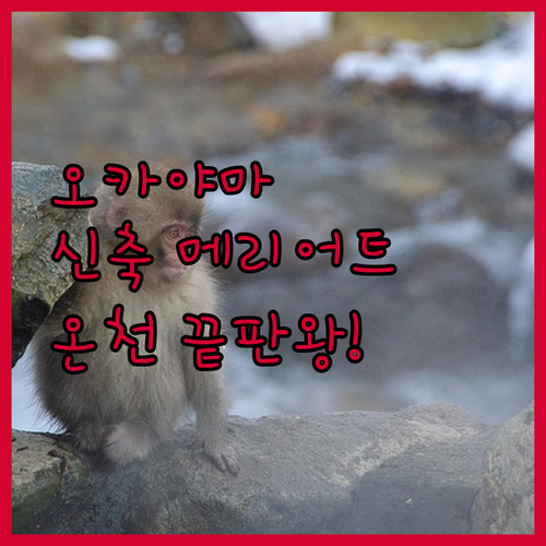 image 9b99e228