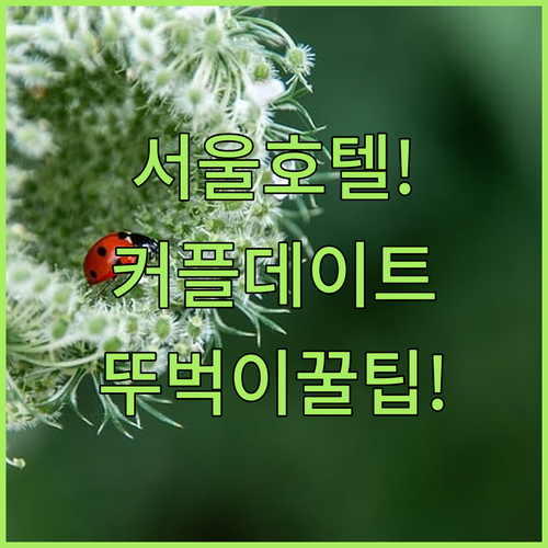 서울 호텔 추천 대중교통 이용이 편해 커플 데이트할 때 묵기 좋은 곳