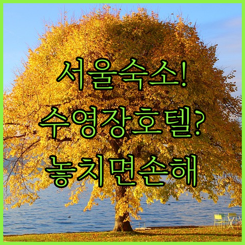 서울 숙소 추천 역세권 프라이빗 하우스부터 수영장 있는 호텔까지