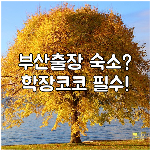 부산 숙소 추천 사상구 비즈니스 출장과 여행에 적합한 부산 학장 코코