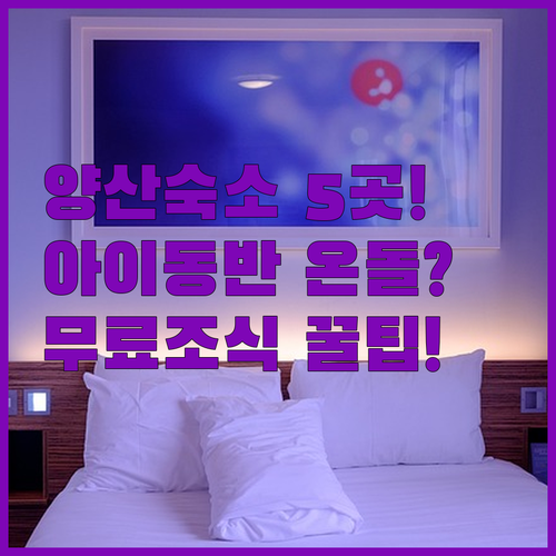 양산 숙소 추천 아이 동반 온돌방부터 무료 조식까지 갖춘 5곳