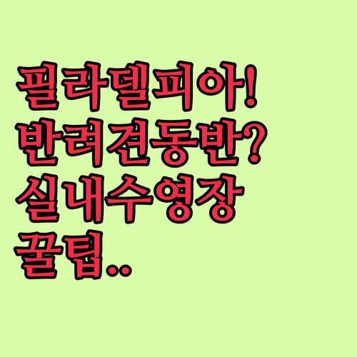 필라델피아 호텔 추천 셰라톤 필라델피아 다운타운 시티 센터 중심의 실내 수영장과 반려견 동반 숙소
