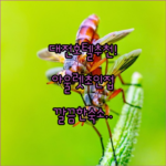 image bc2e6e5c