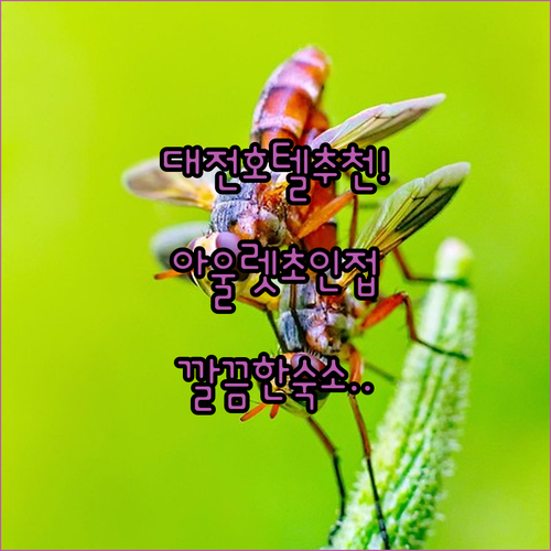 image bc2e6e5c