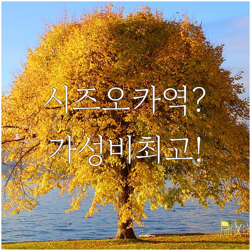 시즈오카 호텔 추천 역세권 위치와 가성비를 갖춘 호텔 아반트 시즈오카