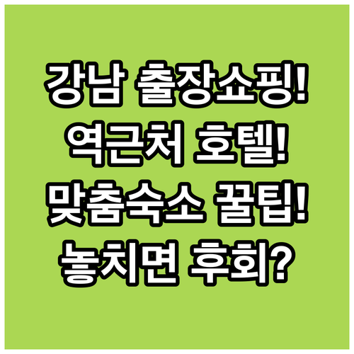 강남 숙소 추천 출장과 쇼핑 일정에 맞게 고르는 역 근처 호텔