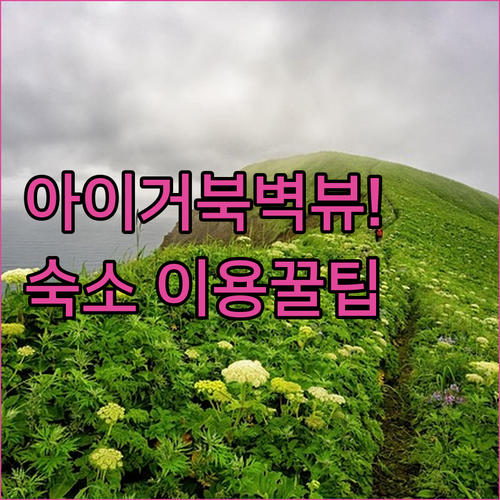 그린델발트 숙소 추천 아이거 북벽 뷰 그린델발트 유스호스텔 입실부터 퇴실까지 매너 가이드