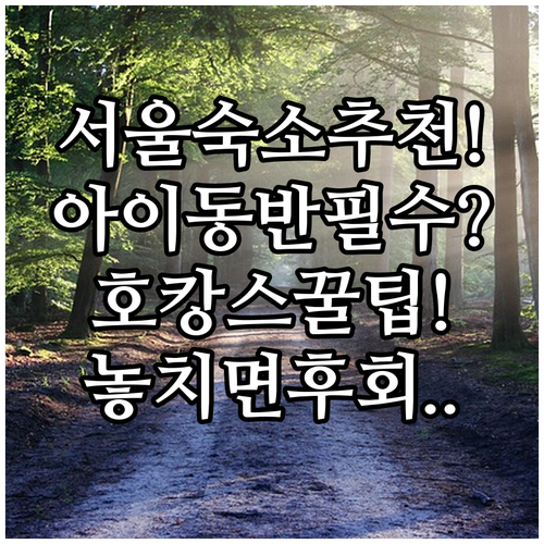 서울 숙소 추천 아이 동반 가족과 호캉스에 어울리는 공간