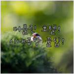 image fc2e900d