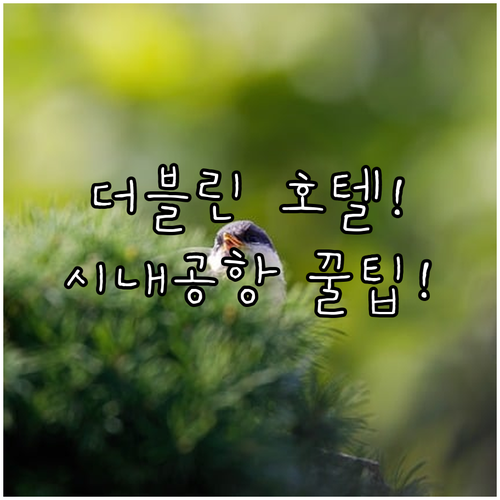 더블린 호텔 추천 시내 중심 관광과 편리한 공항 이동을 고려한다면